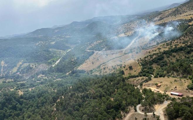 Balıkesir'de orman yangını