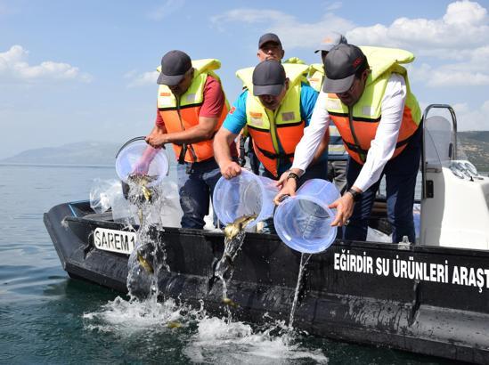 Eğirdir Gölü'ne 5 bin sazan bırakıldı