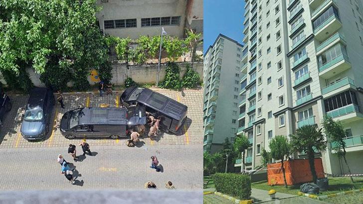 Başakşehir'de emekli polis memuru, polis köpeğini vurup camdan aşağıya attı