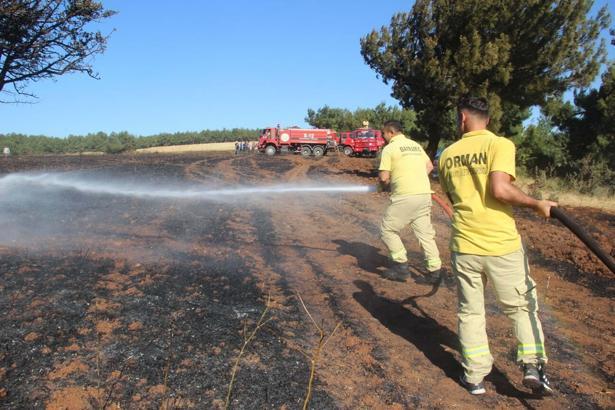 Çanakkale'de tarım arazisi yandı; 100 dönüm zarar gördü