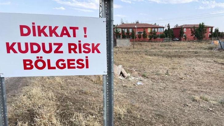 Şanlıurfa'da 2 mahalle, 'kuduz' nedeniyle karantinaya alındı