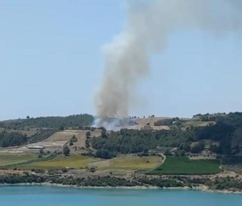 Adana'da orman yangını