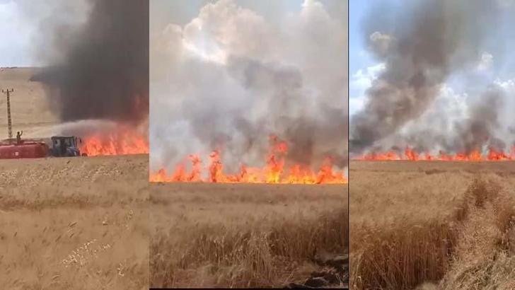 Mardin'de 70 dönüm buğday tarlası yandı; 13 gündeki yangınlarda 4 bin 885 dönüm ekili arazi zarar gördü