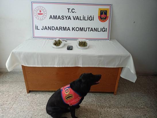 Amasya'da uyuşturucu operasyonu, 1 tutuklama