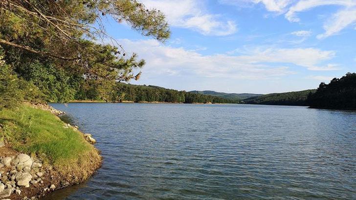 Edirne'de ormanlara girişler 15 Ekim'e kadar yasaklandı