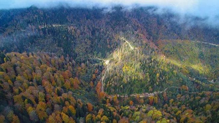 Ankara'da ormanlara giriş yasaklandı