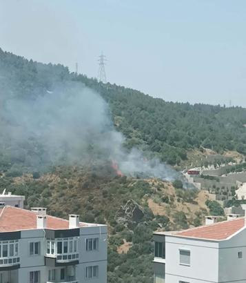 İzmir'de orman yangını