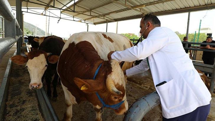 Bakan Yumaklı: 3 kesimhanenin onayı iptal edilerek faaliyeti sonlandırıldı