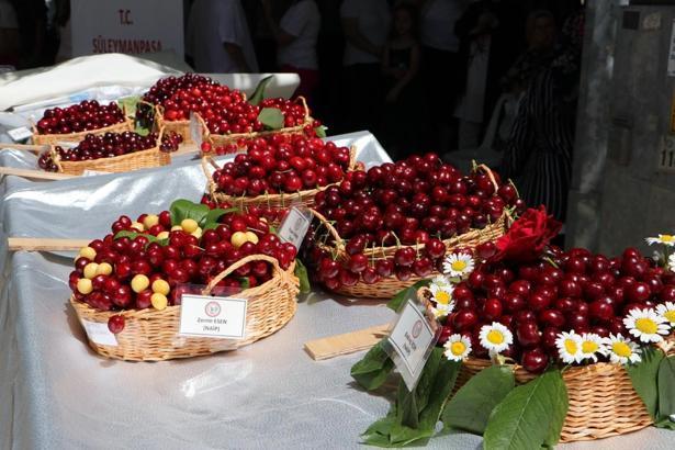 Tekirdağ'da 58'inci Uluslararası Kiraz Festivali