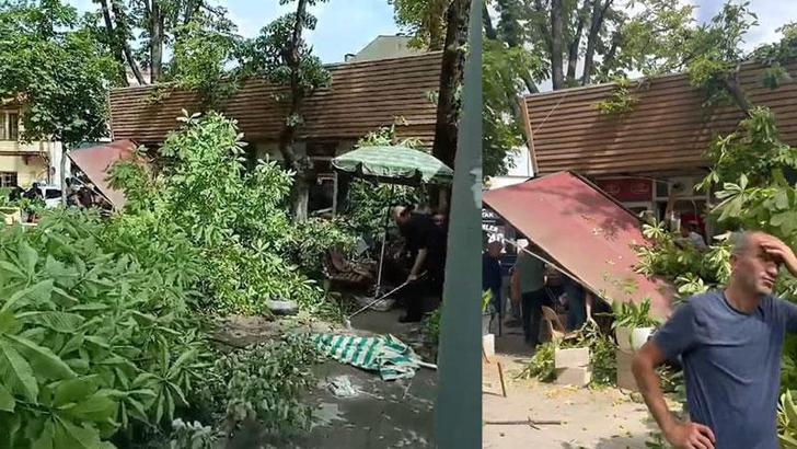 Lodos nedeniyle ikiye bölünen çınar ağacı, tarihi Cafer Paşa Hanı'nın üzerine devrildi