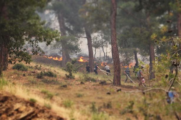 Denizli'deki orman yangını 2'nci günde kontrol altına alındı