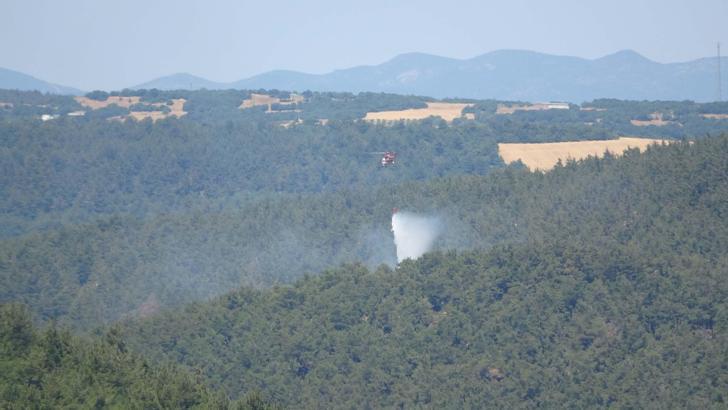 Çanakkale'de orman yangını / Ek fotoğraflar