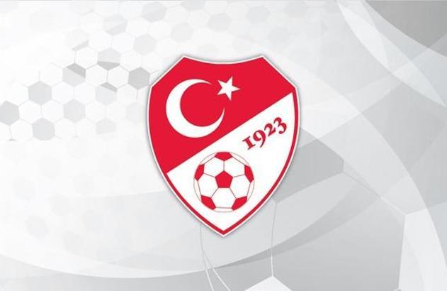 A Milli Futbol Takımı'nın Karadağ ve İzlanda maçlarının yerleri belli oldu