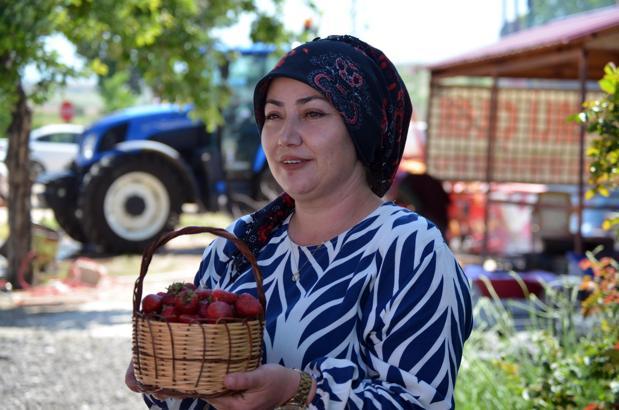 Ev kadınıydı şimdi 20 kadına istihdam sağlıyor