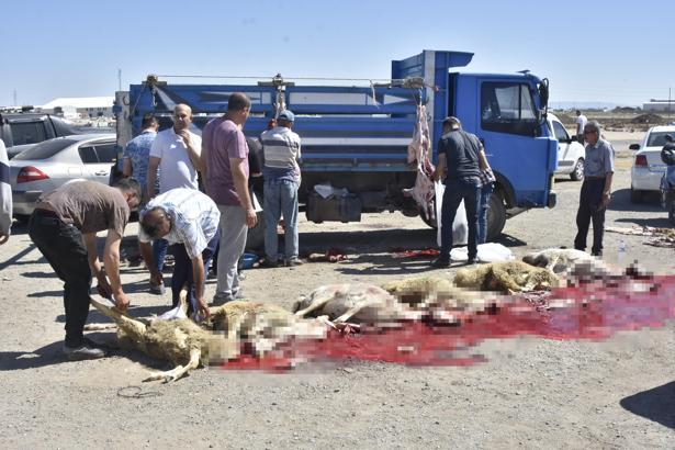 Konya'da izinsiz kurban pazarında kaçak kesim