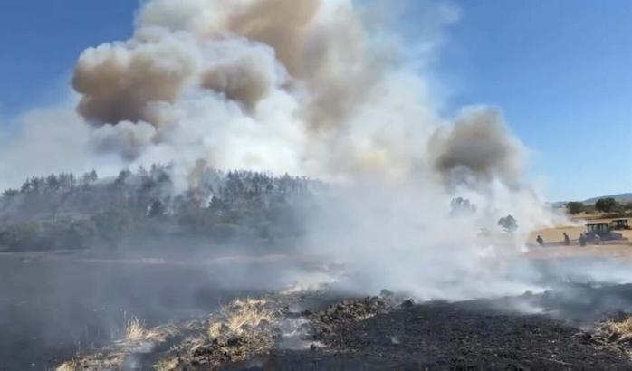 Balıkesir'de anız yangını