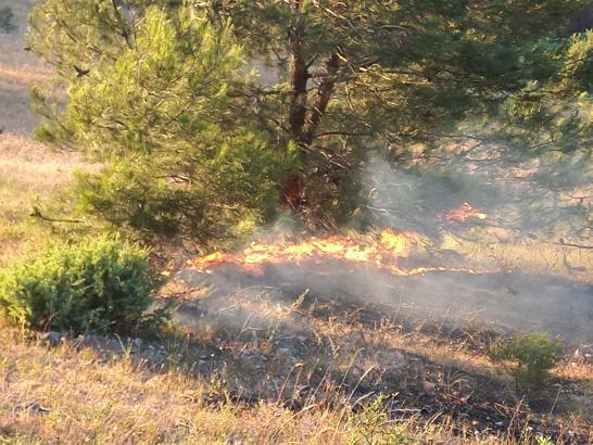 Balıkesir'de anız yangını (3)