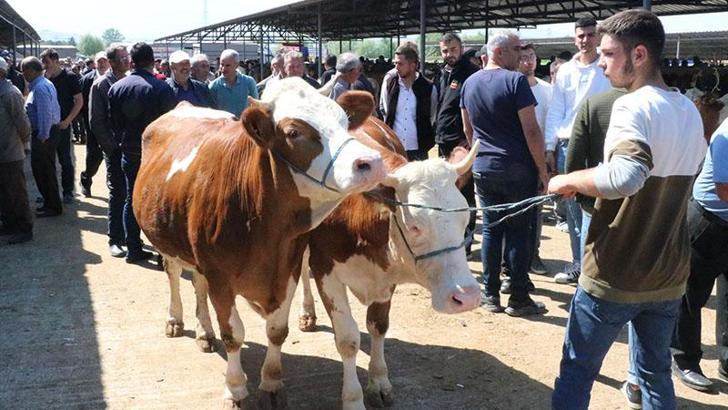 Satılmayan kurbanlıkları Et ve Süt Kurumu satın alacak