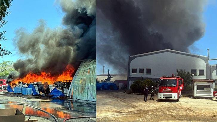 Tekirdağ’da fabrika yangını