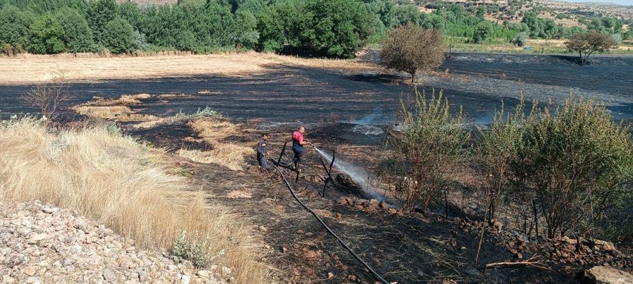 Mardin'de ekili 100 dönüm arpa ve buğday yandı