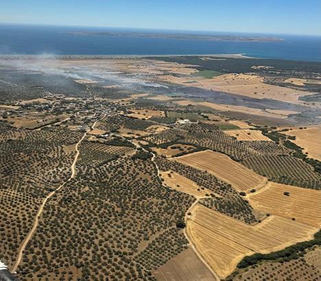 Çanakkale'de tarım arazisinde yangın (2)
