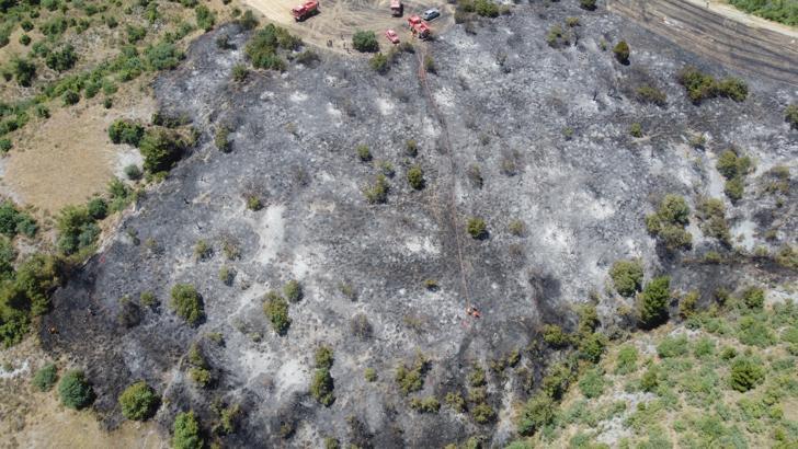Bilecik'te orman yangını, erken müdahaleyle söndürüldü