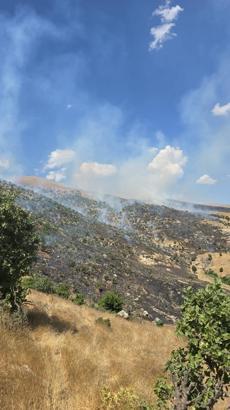 Siirt'te çıkan orman yangını, 6 saatte kontrol altına alındı