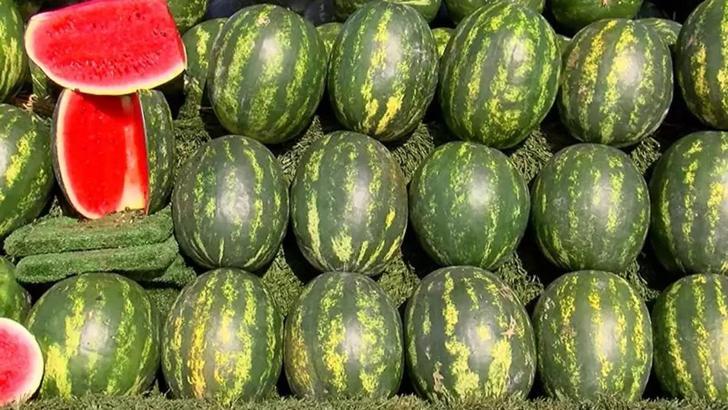 “Kararında tüketilen karpuz, tansiyonu dengeliyor”