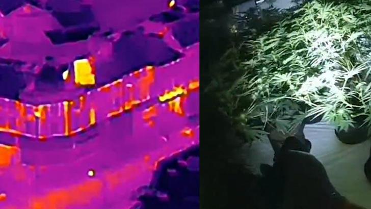 İngiltere’de termal kameralı dronla kenevir çiftliği tespit edildi