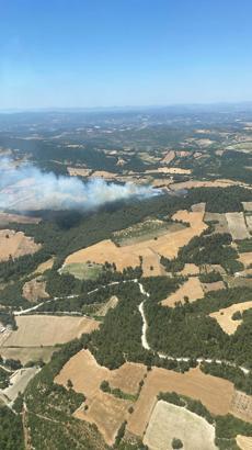 Balıkesir'de arazide çıkan yangın ormana sıçradı