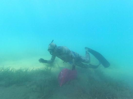 Bodrum'daki deniz dibi temizliğinde 800 kilogram atık çıkarıldı