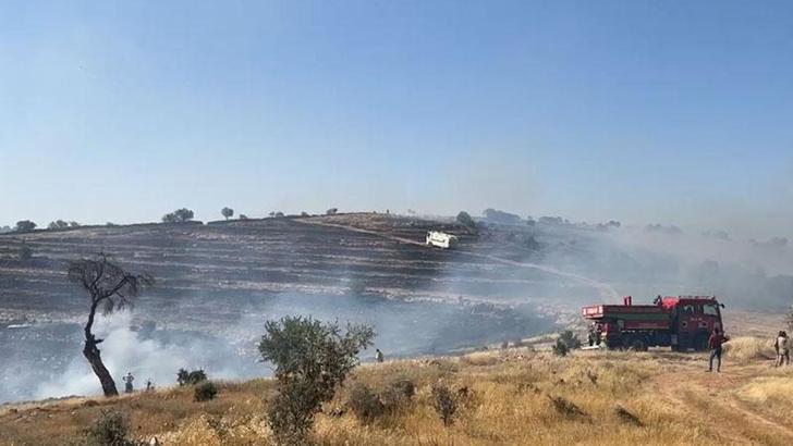 Mardin-Batman sınırında  çıkan anız ve örtü yangını kontrol altına alındı
