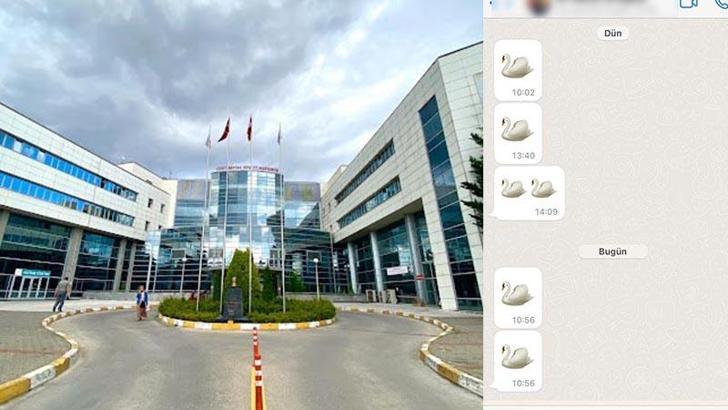 Kuğu emojili ilaç parası olayında doktorlar hakkındaki soruşturma genişletildi