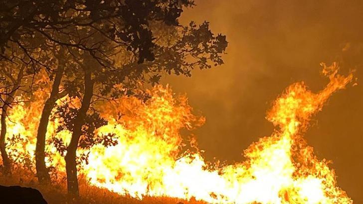 Adıyaman'da yangın
