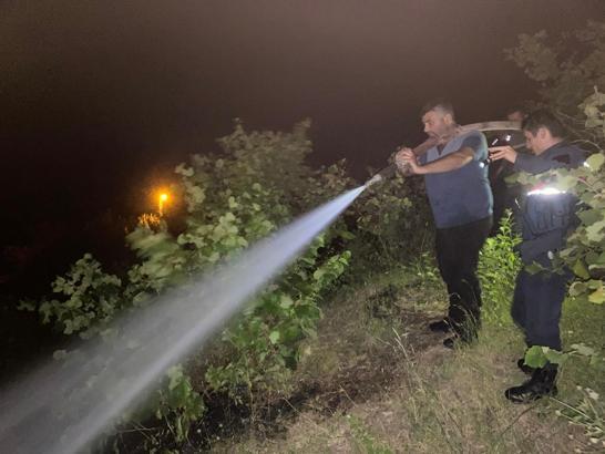 Bartın'da rüzgarın kopardığı elektrik telleri ormanda yangın çıkardı