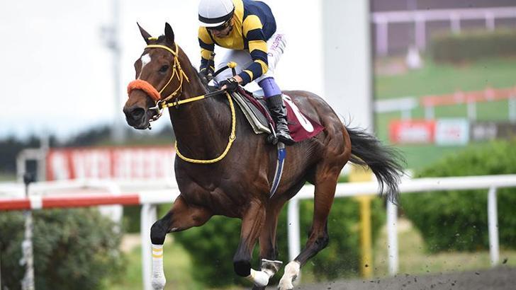 98. Gazi Koşusu’nda kupa yarın sahibini bulacak