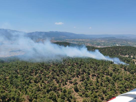 Balıkesir’de orman yangını