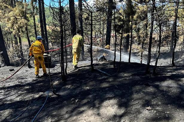 Bursa'da çıkan orman yangını 1 saatte söndürüldü