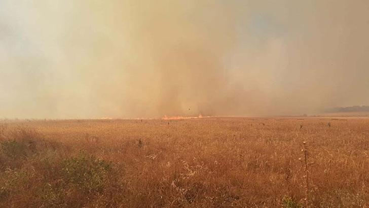 Çanakkale'de çıkan yangın kısmen kontrol altında