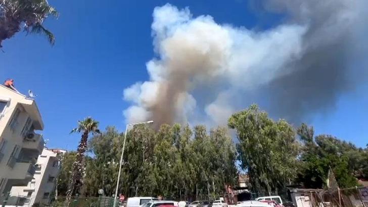 Antalya'da orman yangını