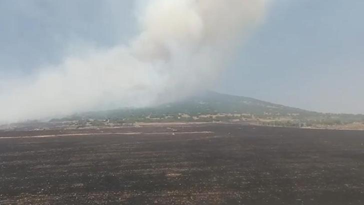 Kahramanmaraş'ta 2 noktada orman yangını