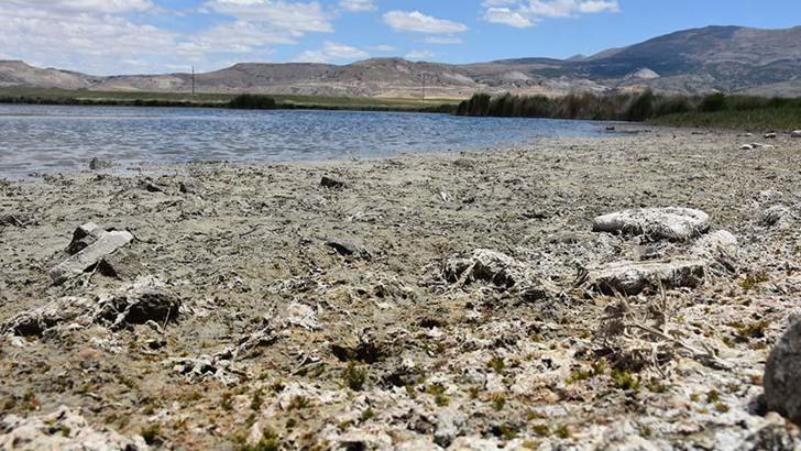 Ulaş Gölü'nde su seviyesi azaldı; 'Doğal habitat bozuluyor' uyarısı