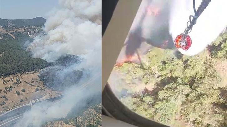 İzmir'de orman yangını, 2 mahalle boşaltıldı