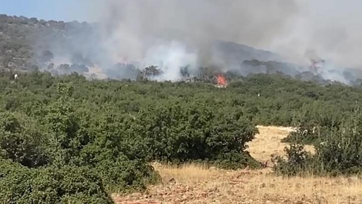 Kahramanmaraş’taki yangınlar kontrol altında