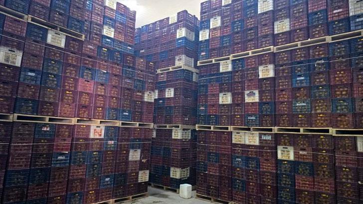 Mersin'de Hal Kayıt Sistemi'ne bildirilmeyen 380 ton limon bulundu