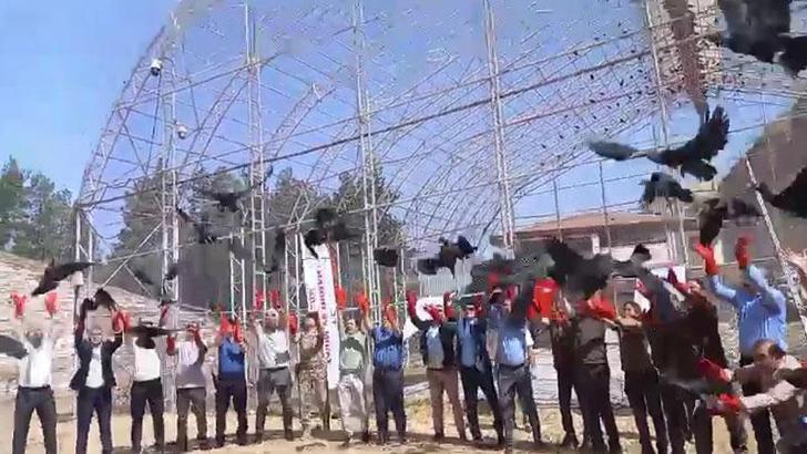 Kelaynaklar göç yoluna bırakıldı