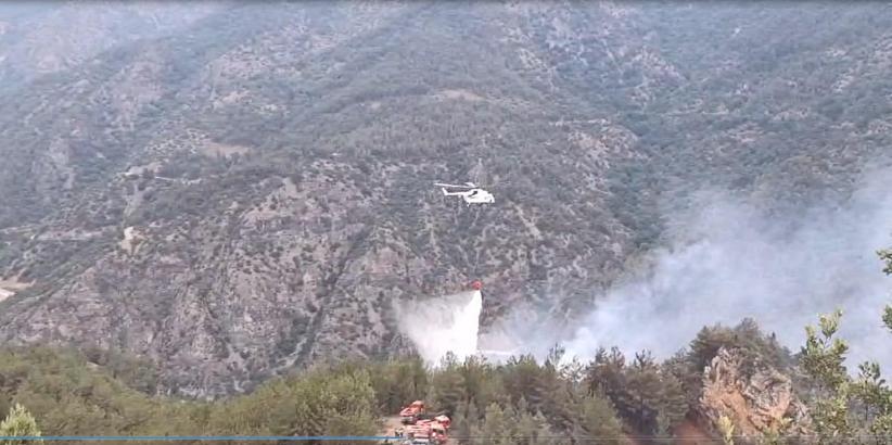 Karabük'te ormana yıldırım düştü, yangın çıktı (4)