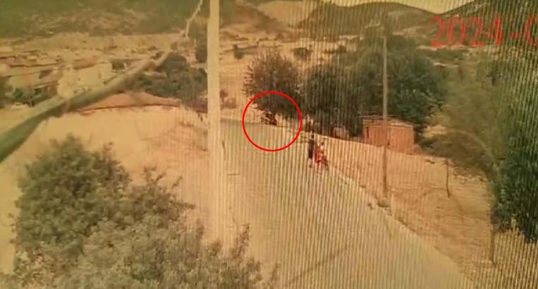 Bigadiç'te otomobilin ağaca çarptığı kazada ölü sayısı 3'e çıktı (2)