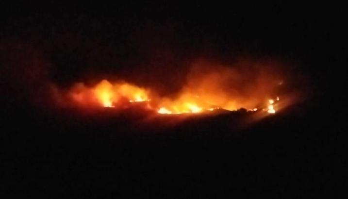 Tunceli'de çıkan örtü yangını 2 saatte söndürüldü