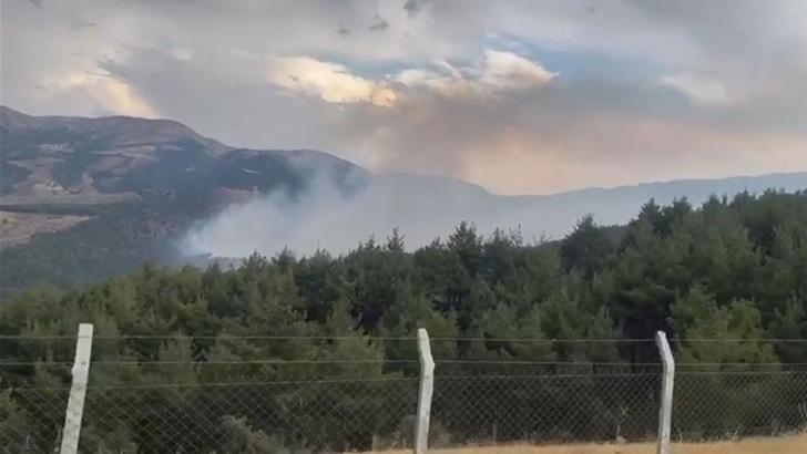 Kahramanmaraş'ta çıkan orman yangını kontrol altında